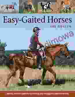 Easy Gaited Horses: Gentle humane methods for training and riding gaited pleasure horses