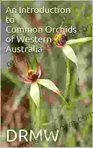 An Introduction to Common Orchids of Western Australia