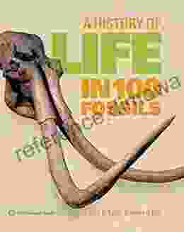 A History Of Life In 100 Fossils