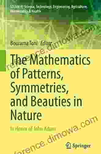 The Mathematics of Patterns Symmetries and Beauties in Nature: In Honor of John Adam (STEAM H: Science Technology Engineering Agriculture Mathematics Health)