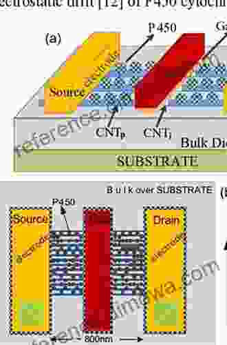 Low Complexity Arithmetic Circuit Design In Carbon Nanotube Field Effect Transistor Technology (Carbon Nanostructures)