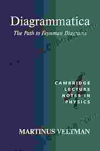 Diagrammatica: The Path To Feynman Diagrams (Cambridge Lecture Notes In Physics 4)