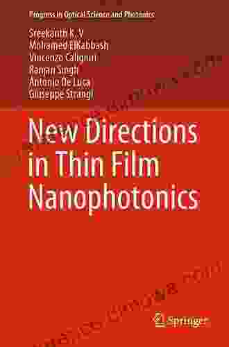 New Directions In Thin Film Nanophotonics (Progress In Optical Science And Photonics 6)