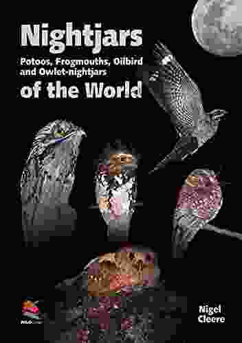 Nightjars Potoos Frogmouths Oilbird and Owlet nightjars of the World (WILDGuides 9)