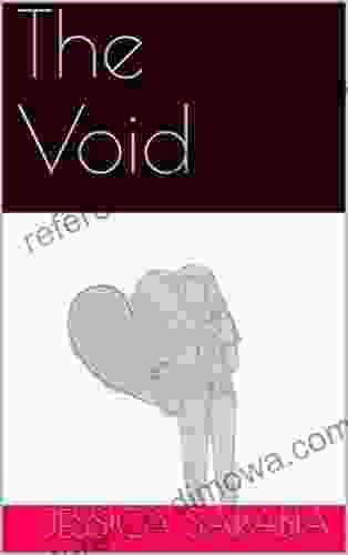 The Void Ally Carter