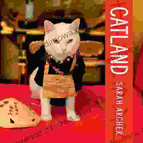 Catland: The Soft Power Of Cat Culture In Japan