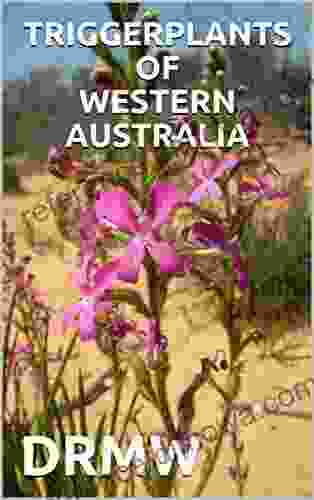 TRIGGERPLANTS OF WESTERN AUSTRALIA DRMW